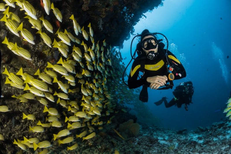 Gizo diving